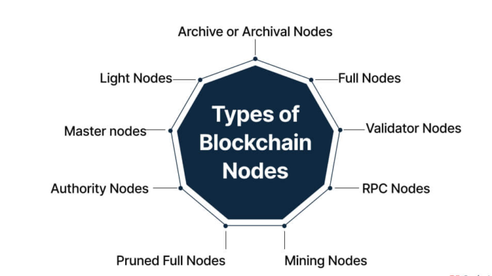 types of blockchain nodes